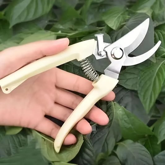 Stainless Steel Fruit cutting Secateurs